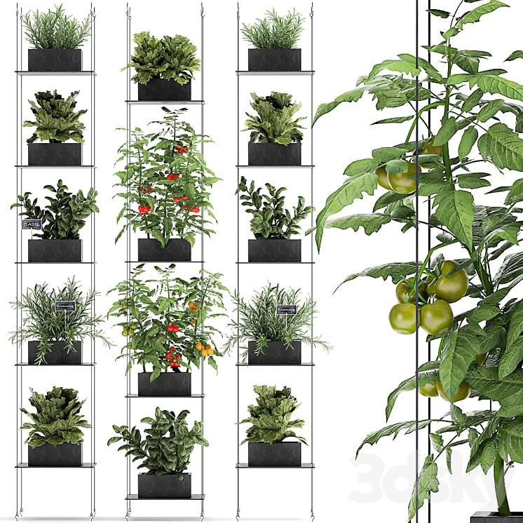 Vertical gardening. 69 Shelf, kitchen garden, vegetables, tomatoes, herbs, rosemary, basil, lettuce, garden, kitchen decor, eco design