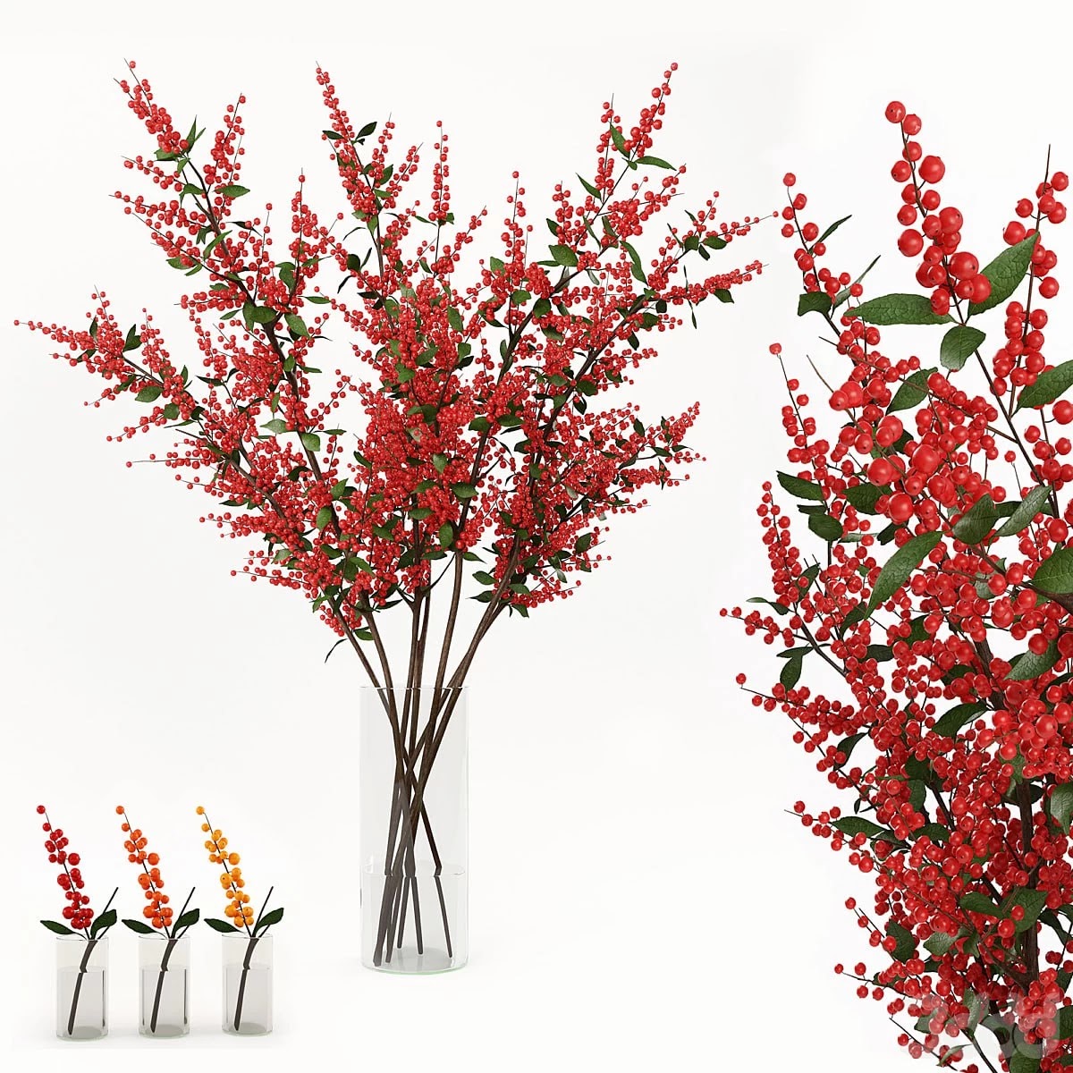 Branches in a vase 004