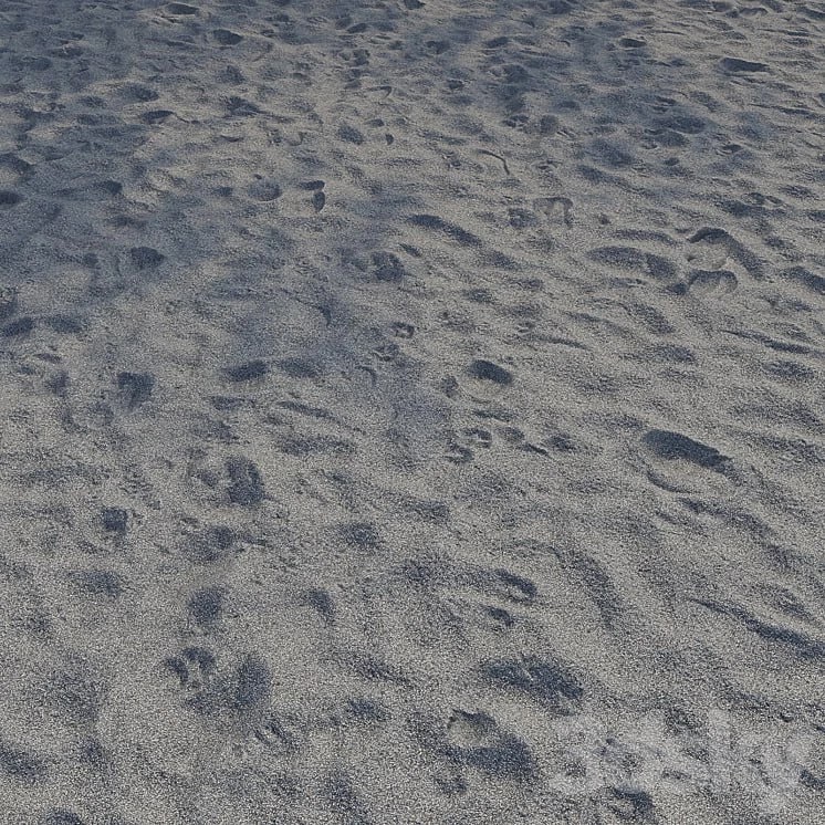 Sand Beach Gray 7