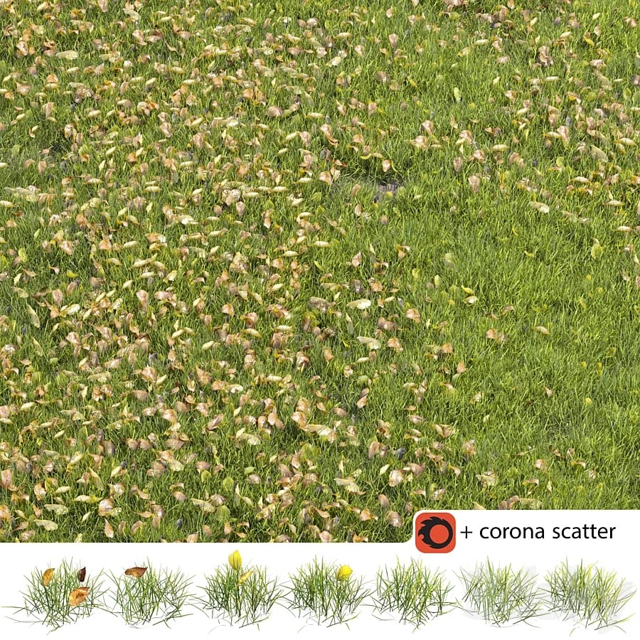 Autumn lawn