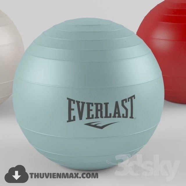 Everlast sport ball