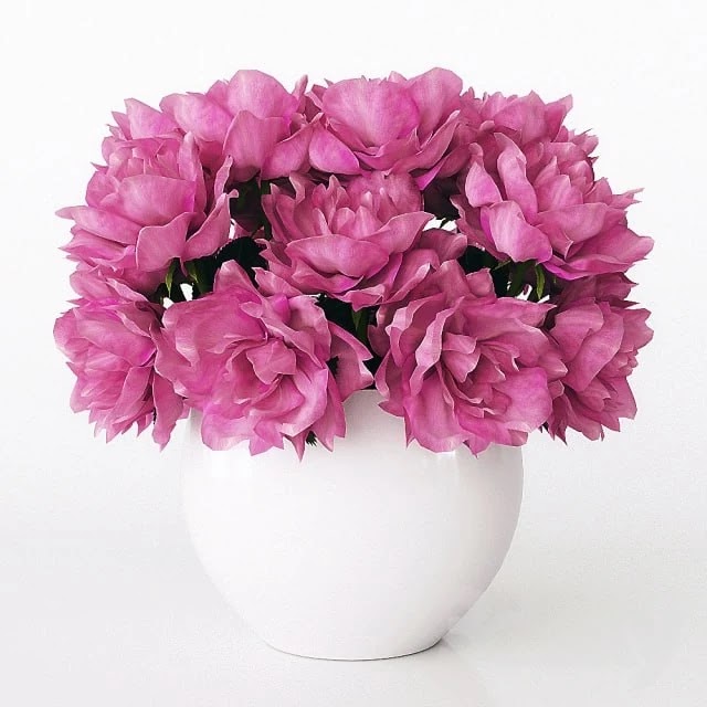 Bouquet of roses