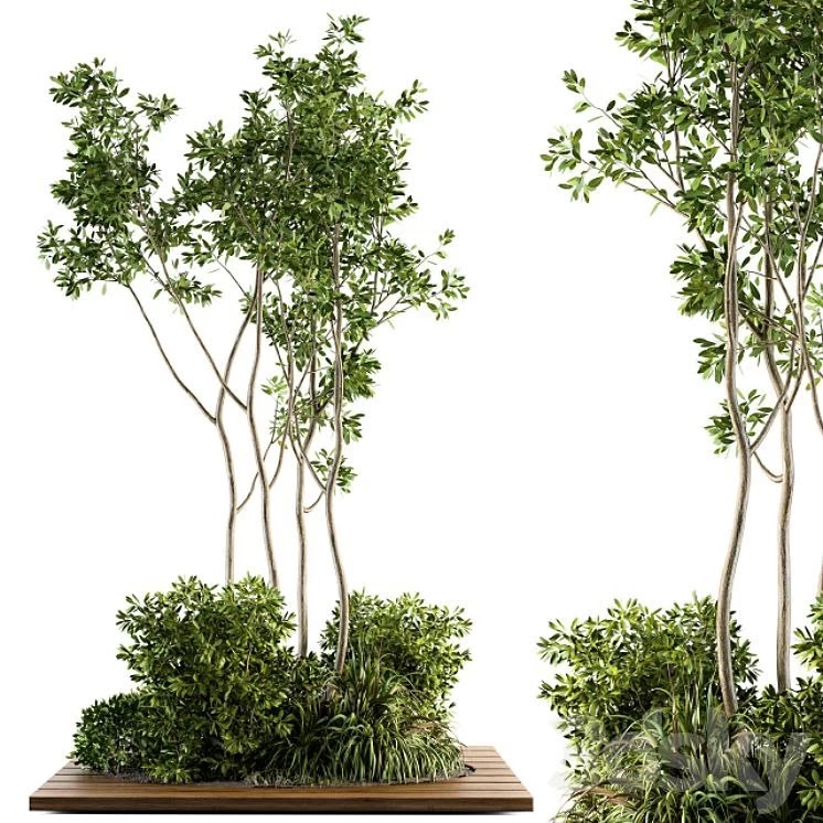 Garden set bush and Tree - Garden Set 04