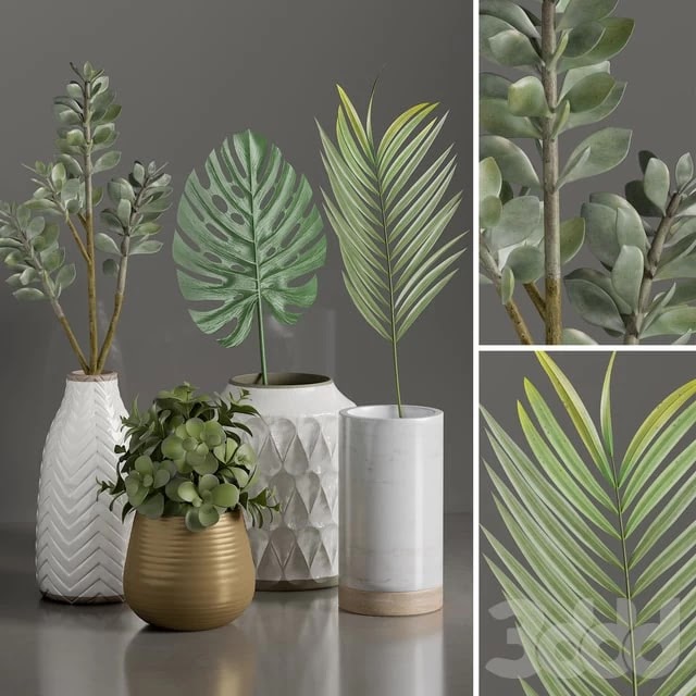 Plants 1