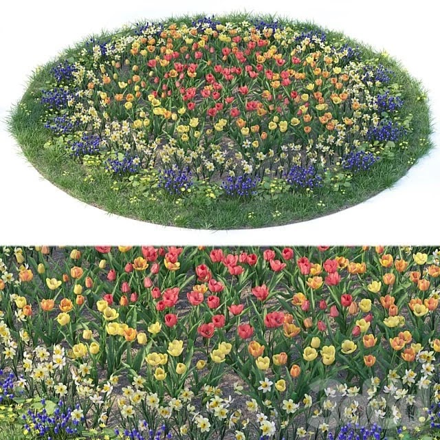 Flower garden 6