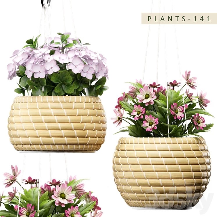 PLANTS 141