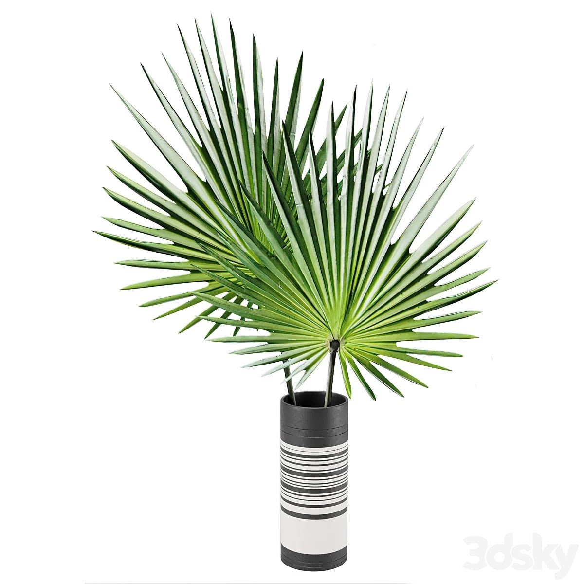 vase01