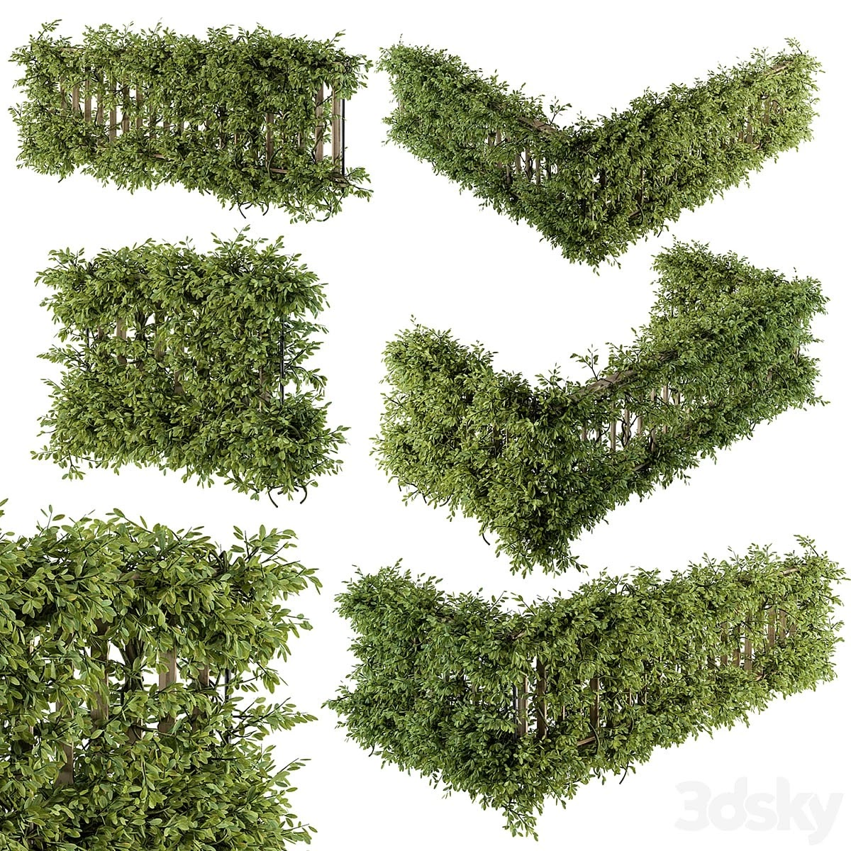 Outdoor Wood Fence with Ivy Plants - Fence 07