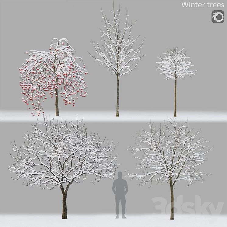 Winter trees #1