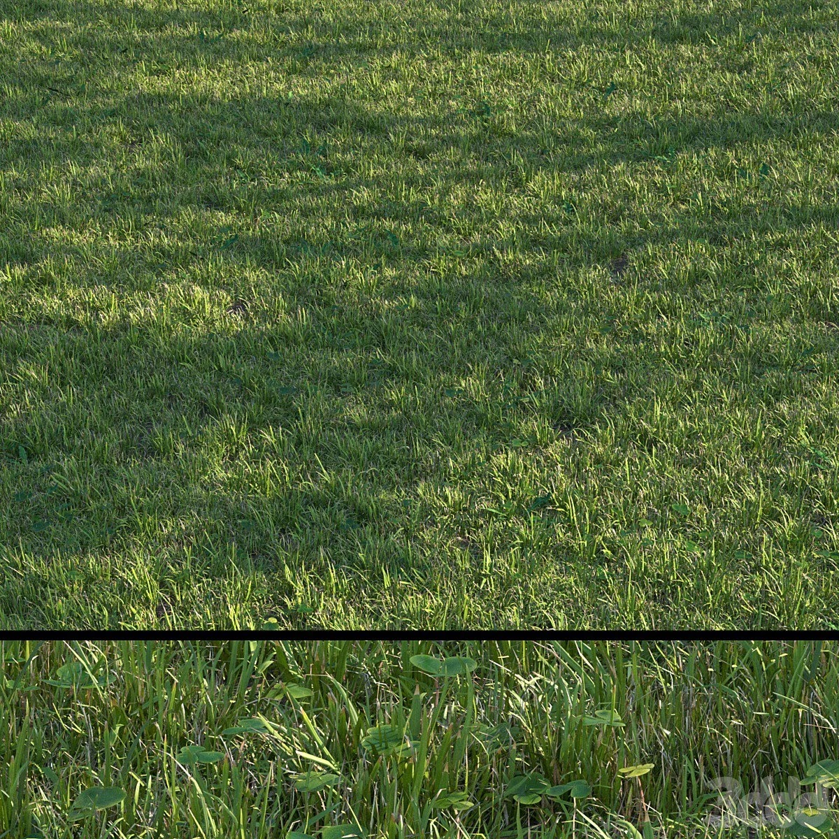 grass set04
