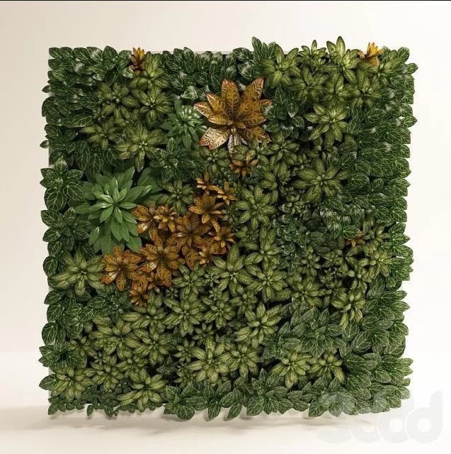 Fitostena, fitomodul of tropical plants