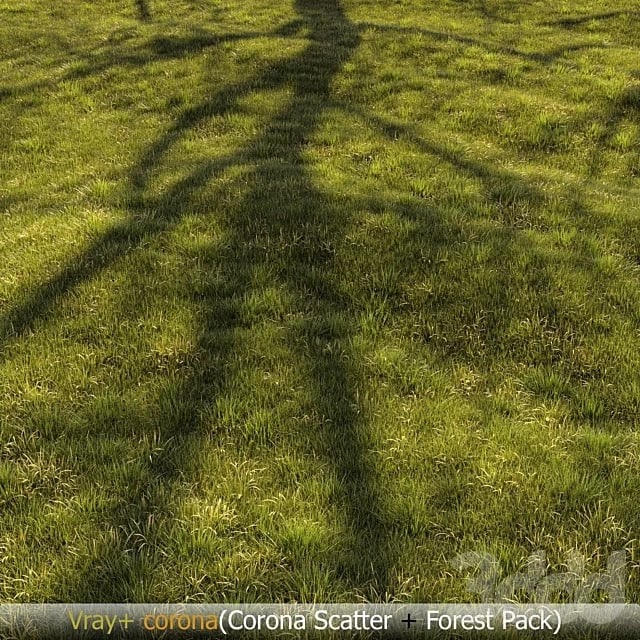Grass Landscape 01