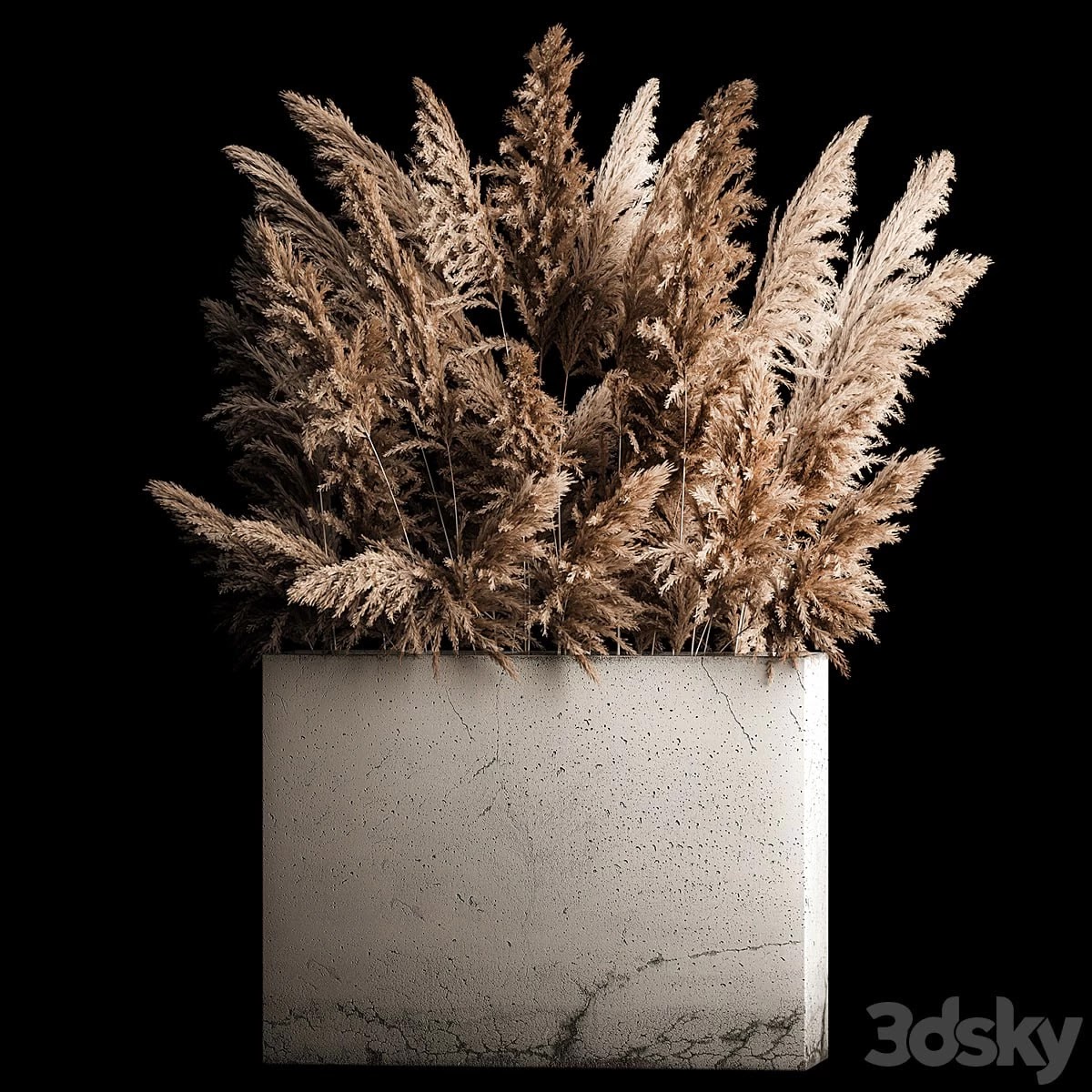 Decorative bouquet in a concrete vase of dry reeds and pampas grass for the interior, flowerpot, decor. 268.