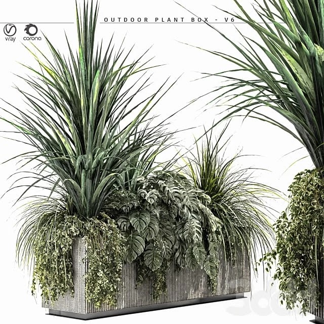 Outdoor Plant BOX-V6