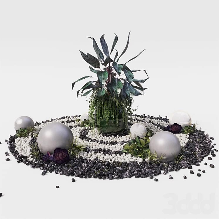 Japanese style mini garden