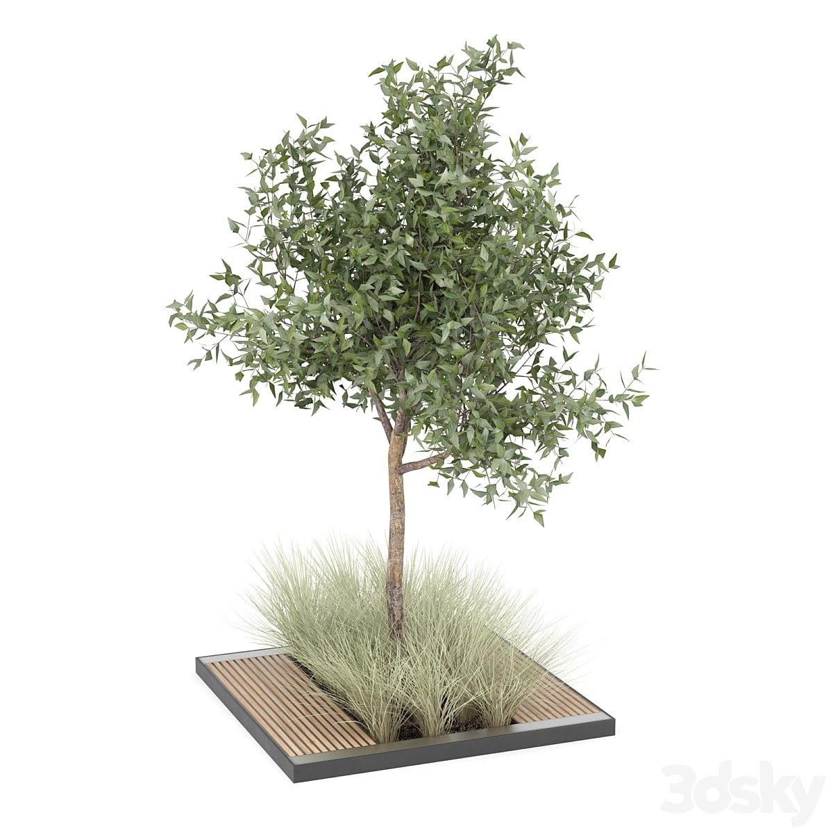 tree