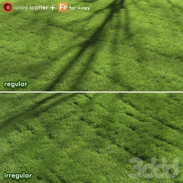 lawn grass