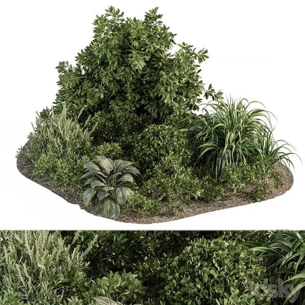 Garden set ivy and Bush - Garden Set 20