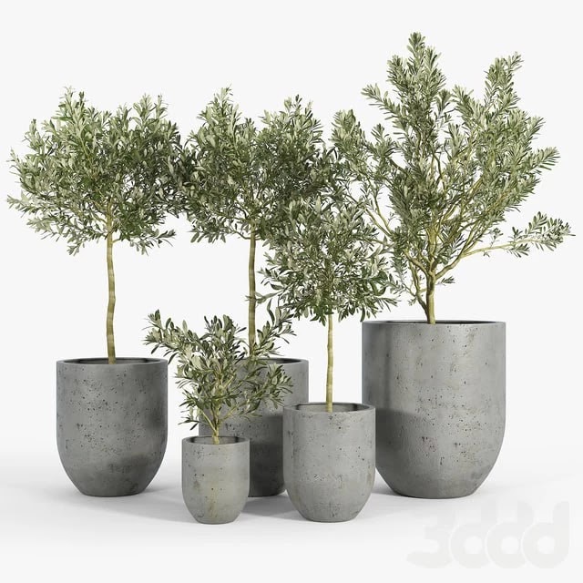 Neo Planter, Extra Small, Lead
