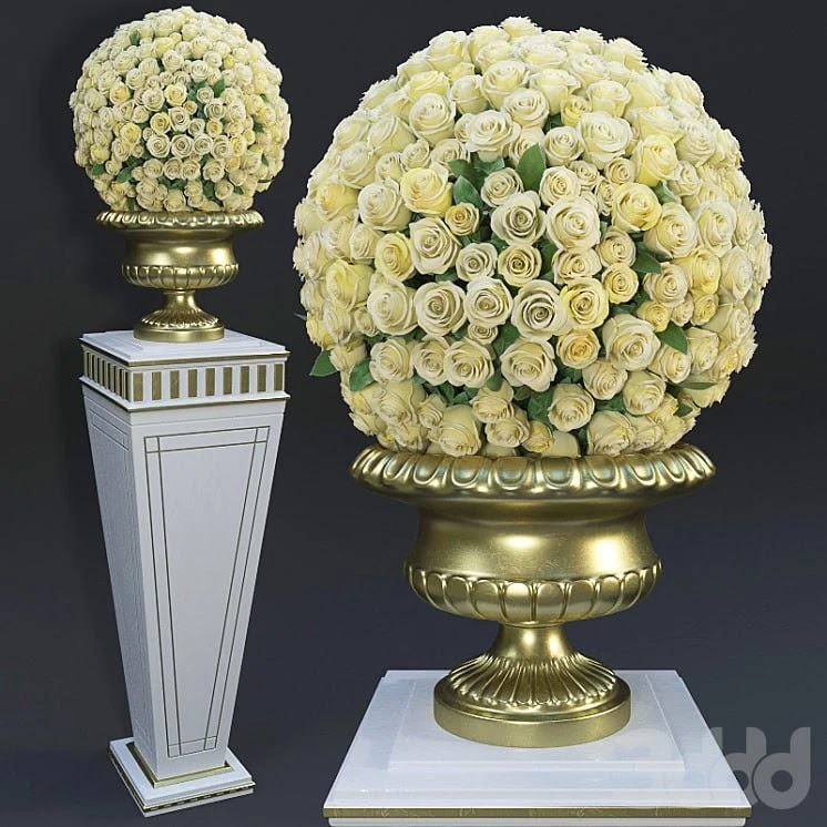 Yellow Roses