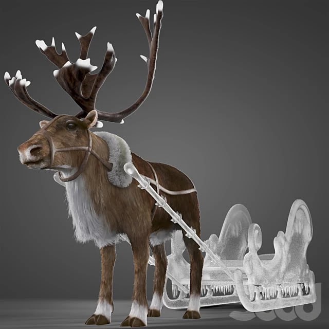 North Deer