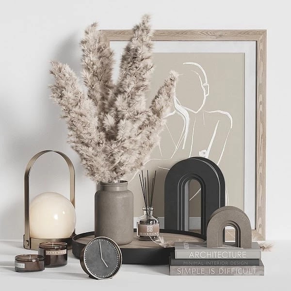 Decorative Set Dried Plant
