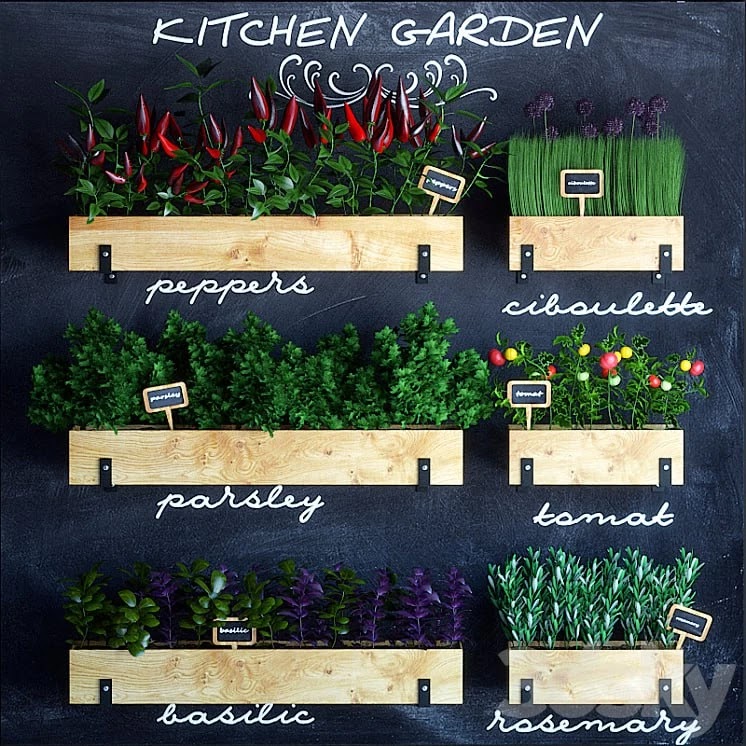Kitchen garden