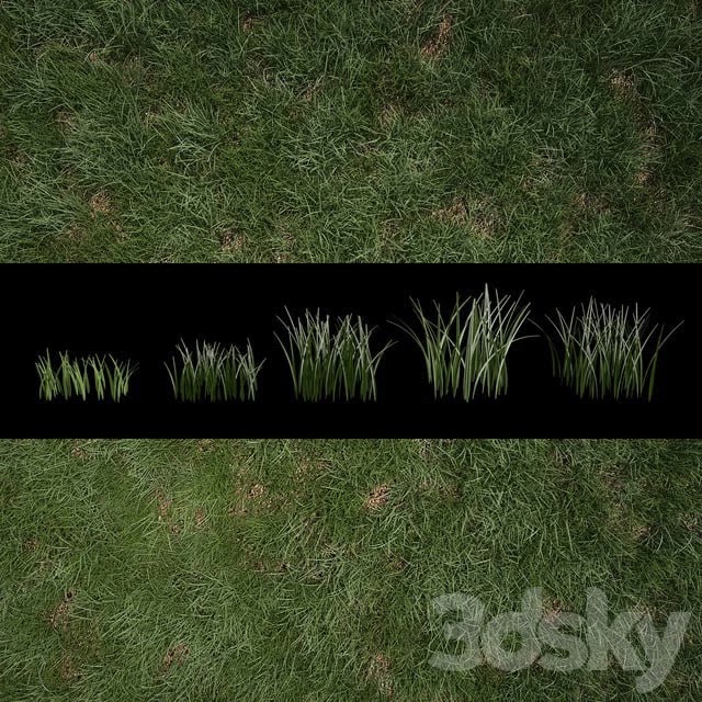 Grass for Exteriors