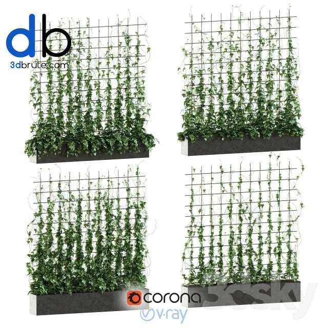 Ivy on the grid