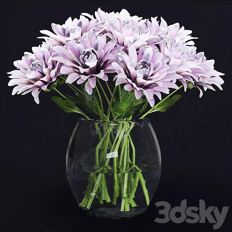 Chrysanthemums