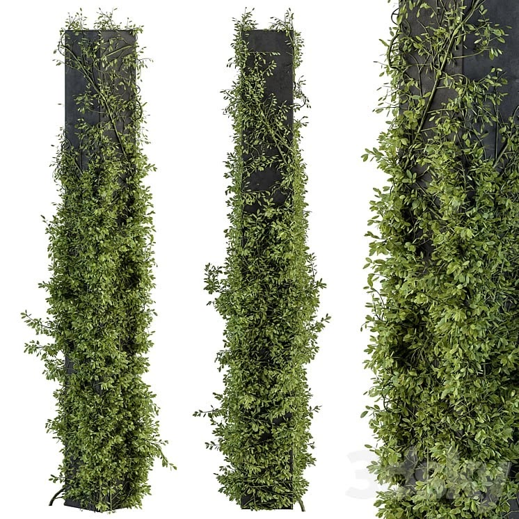 Outdoor Plant Set 394 - ivy on Column