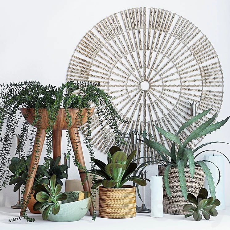 Plant decor set - 1