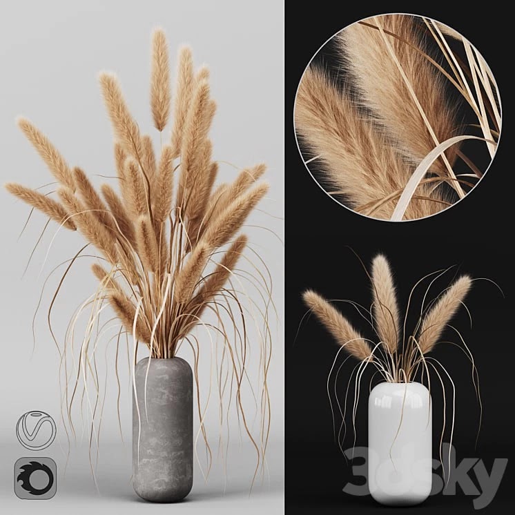 A bunch of Pampas 2