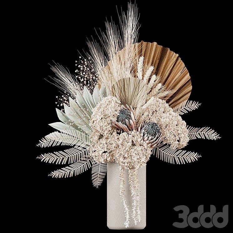 Decorative plants