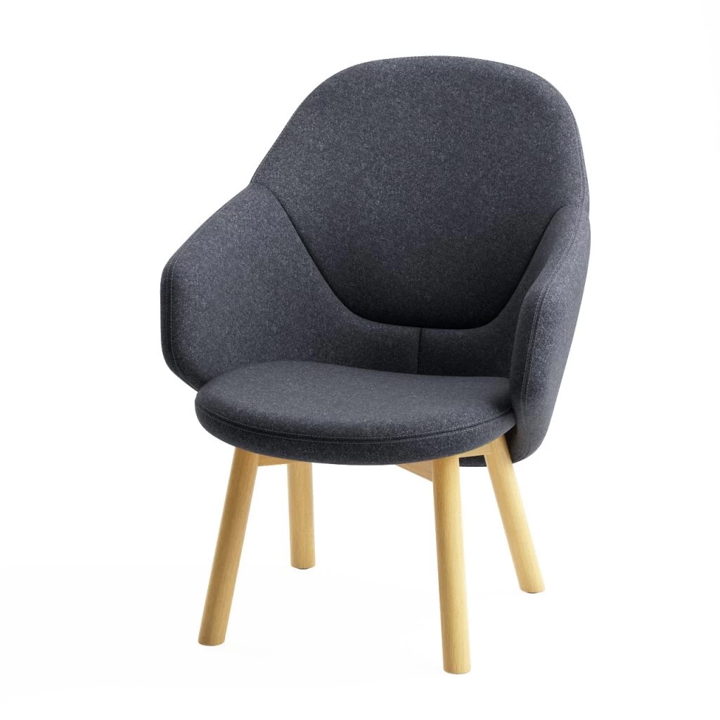 DIMENSIVA Alba Lounge Armchair by Ton