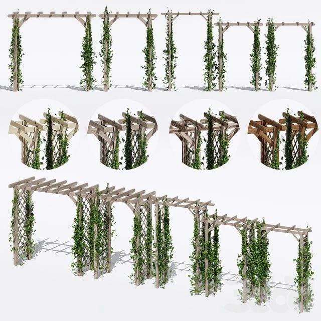 Garden arches one