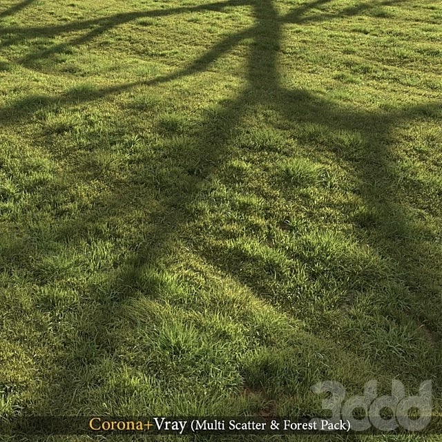 Grass landscape