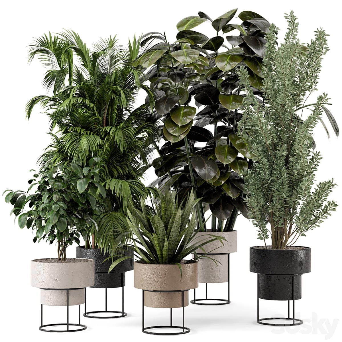 Indoor Plants in rusty Concrete Pot on Metal Shelf - Set 328