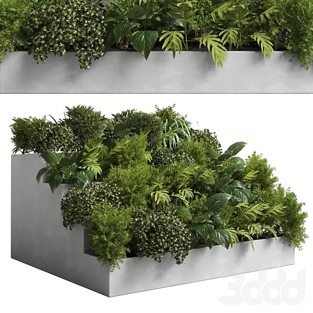 collection outdoor plant 22 - stairs concrete vase