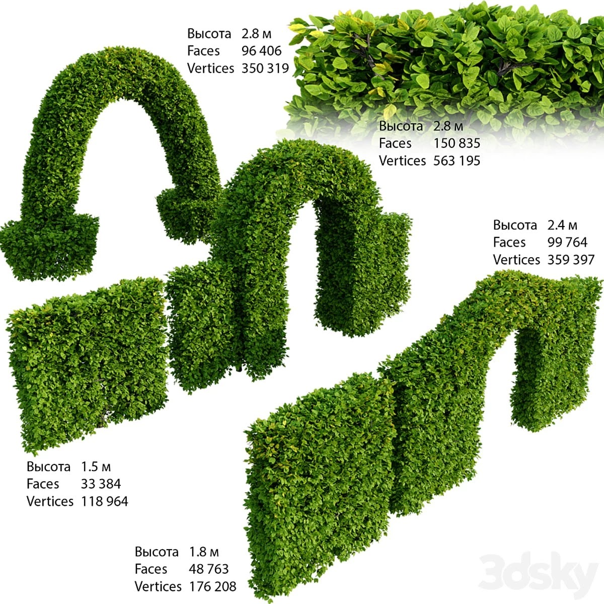 Hedge