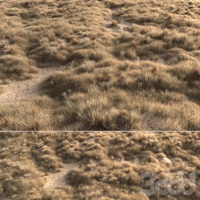 Dried grass