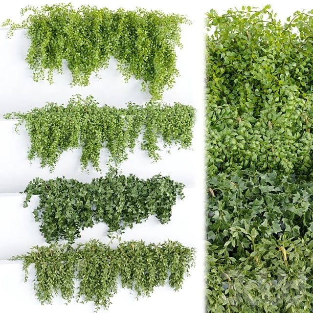 Hanging wall plants collection vol 64 #