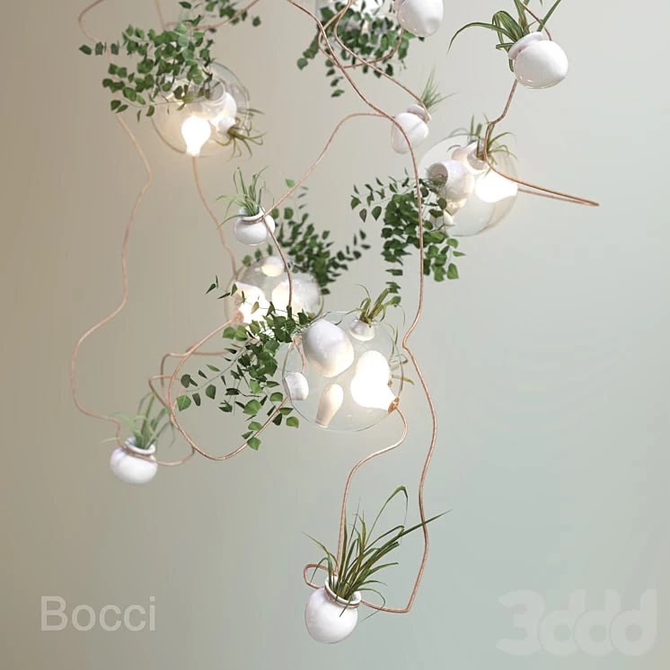 Bocci