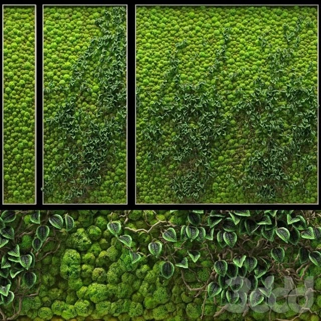 Fitowall