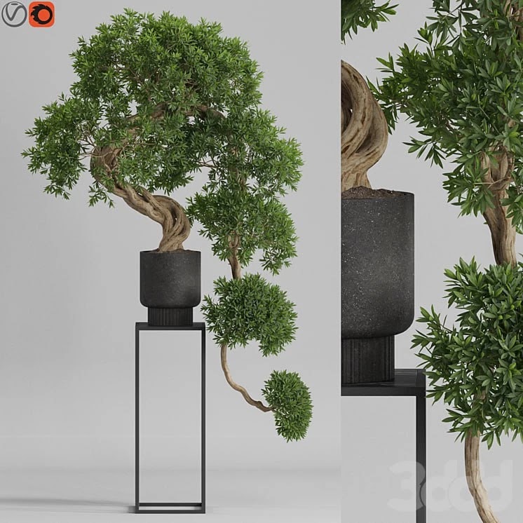 Plants collection 744