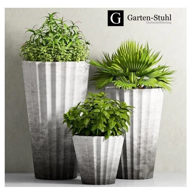 PLANT-43