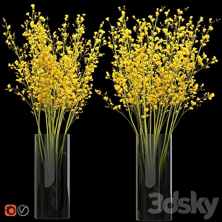 Big bouquet. Orchid oncidium in a vase