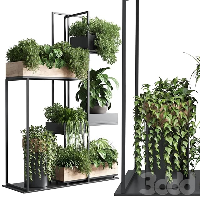 stand plant box - collection Indoor plant 217 wooden