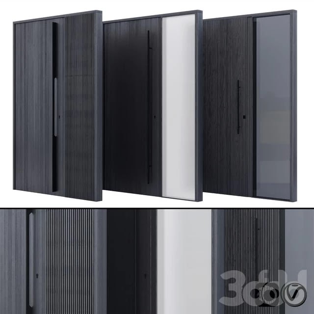 Modern entrance door