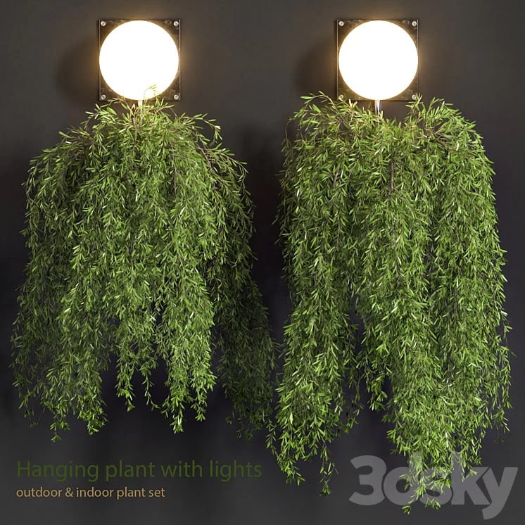 Hanging Plant with Lights -style